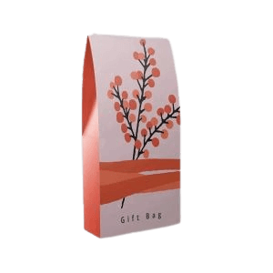 Custom Gift Box Bag